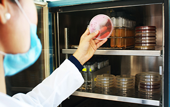 analisis alimentos y bebidas