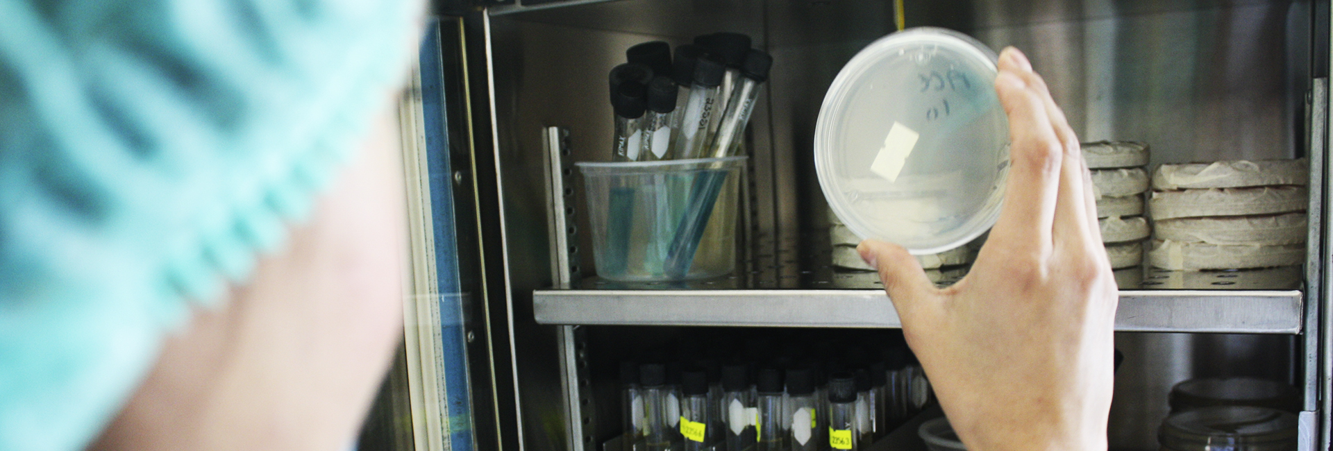 Laboratory Priority Services Delivered