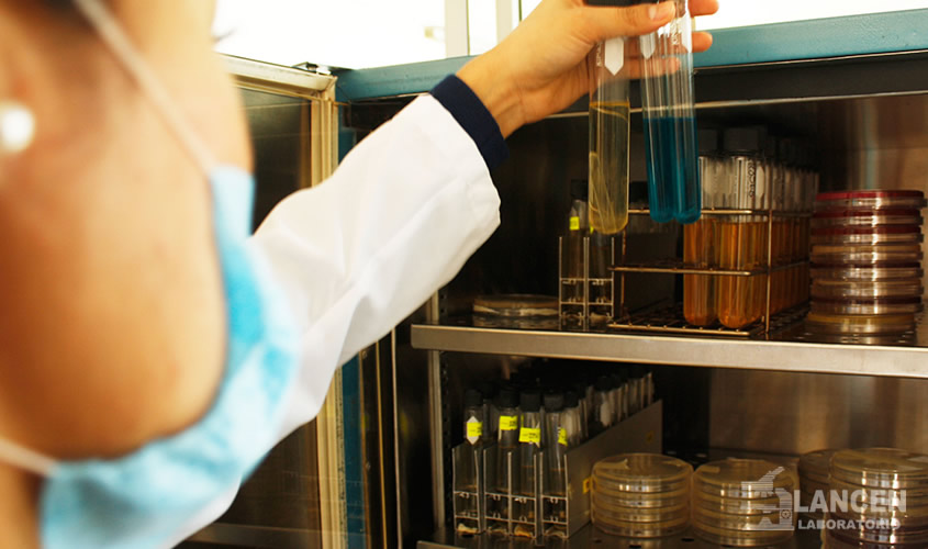 Calidad Laboratorios Lancen